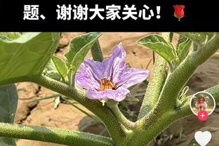 三双达成！第三节中段小萨已拿下15分10板11助 生涯第42次三双